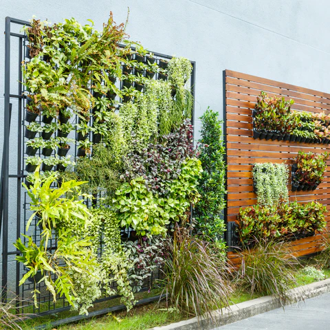 Gardener providing ongoing garden care and maintenance at a residential property in Perth, WA.