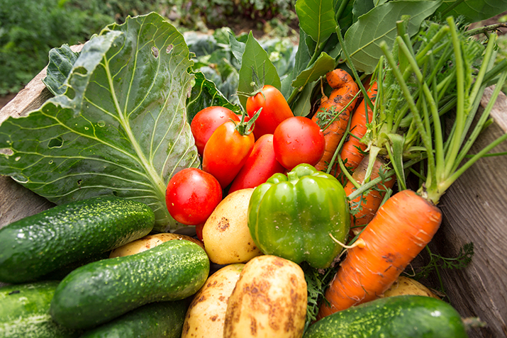 Gardener creating and maintaining a productive food garden at a residential property in Perth, WA.
