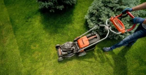 Gardener performing garden maintenance at a residential property in Perth, WA.