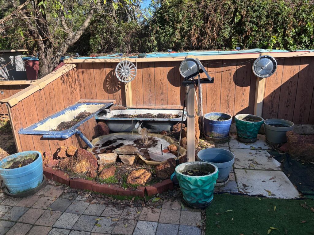 Garden pond and surrounding beds before planting and landscaping in Cockburn, WA.